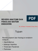 Anfis Endokrin PDF