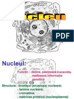 Nucleu.pdf