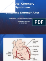 Acute Coronary Syndrome Sindroma Koroner Akut