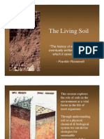 LivingSoil WarrenBrush