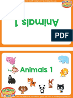 Animals Flashcards