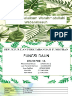 Fungsi Daun, SPT