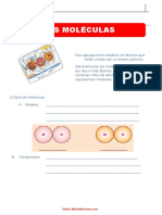 Las Moléculas para Sexto Grado de Primaria