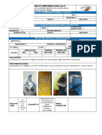 Modelo Formato Reporte de Inspección