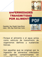 Enfermedades Transmitidas Por Alimentos: Expositor: Ing. Magaly López Rosas Autor: Msc. Ing. Paola Fano Castro