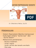 Sistem Reproduksi Wanita dan Infeksi