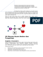 20 Macam Asam Amino Dan Fungsinya