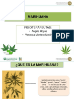 Marihuana PDF