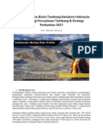 Indonesia Coal Mining Risk 2017