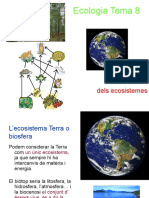 Tema 8 - Dinàmica Dels Ecosistemes