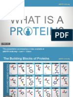 what-is-a-protein-pres.pdf