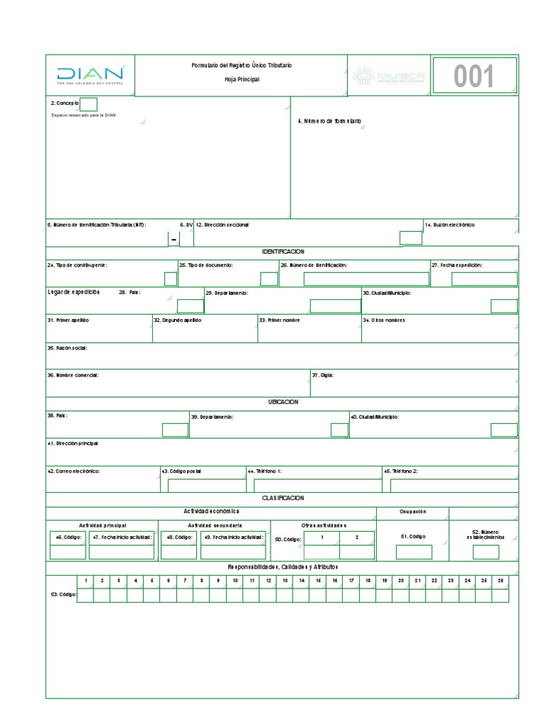 Formato Editable del RUT para Descargar | PDF