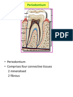 Cementum