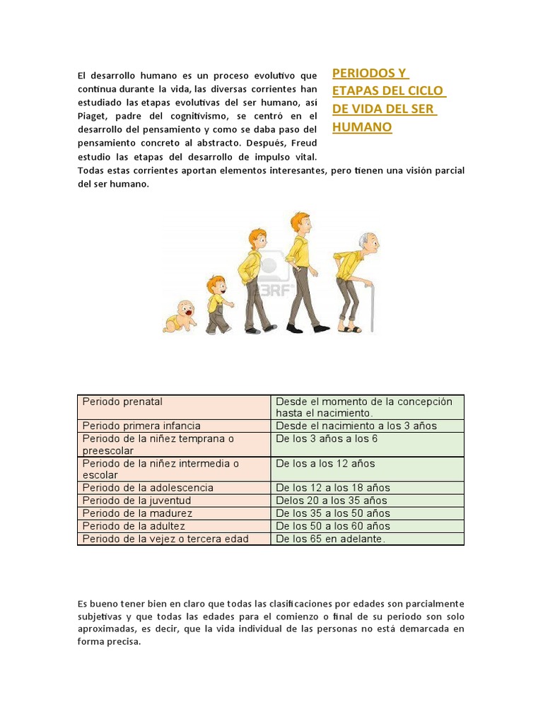 Etapas del Desarrollo Humano | PDF | Adultos | Vejez