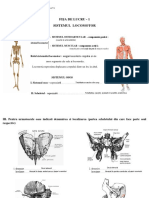 Fisa de Lucru 1 - Sistemul Locomotor PDF