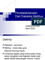 Diet DM 20