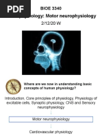 Neurophysiology: Motor Neurophysiology: BIOE 3340