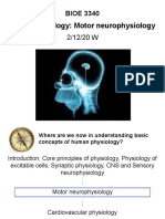 Neurophysiology: Motor Neurophysiology: BIOE 3340