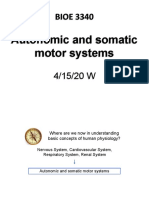 BIOE 3340 BIOE 3340: Autonomic and Somatic Motor Systems Autonomic and Somatic Motor Systems