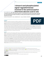 PKA-pERK Role in ABA Analgesia