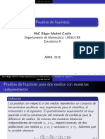 Pruebas de Hipotesis PDF