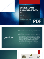 Ecosistemas Organizacionales