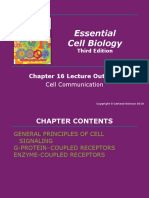 Essential Cell Biology: Chapter 16 Lecture Outlines