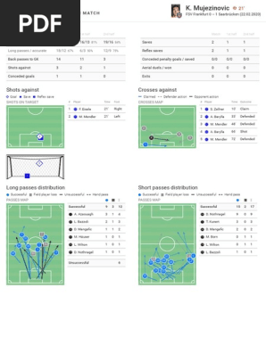 players_in_match_report.pdf