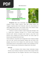 Download m e n g k u d u by Dedi Yuhendra SN45660676 doc pdf