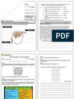 Hojas de aplicación - 1er año.doc