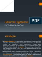 Sistema Digestório 24 11 2014 PDF