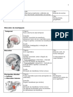 anatomo-fisiologia