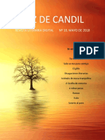 p222-8863-revista-10.pdf