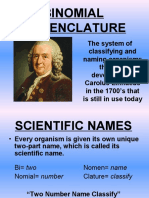 Binomial Nomenclature Scientific Names Presentation