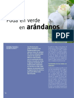 poda_arandanos.pdf