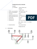 Informe Psicologico