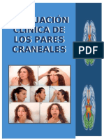 Evaluación Clínica de Pares Craneales