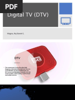 Digital TV (DTV)