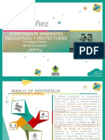 Anexo 4_Diapositivas.pptx