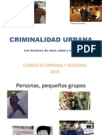 S4-SP-Crim CBU Sesion Delincuencia Urbana 2018
