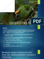 Diversitas Fauna Topik Aves