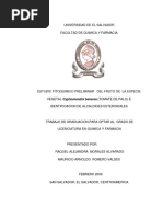 Estudio Fitoquimico Preliminar Del Fruto de La Especie