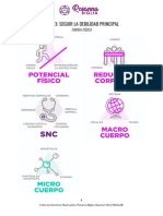 Protocolo Certificación QMM - FASE 1 (CLASE 3)