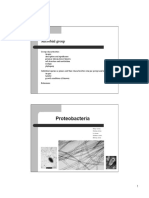 Proteobacteria: Microbial Group