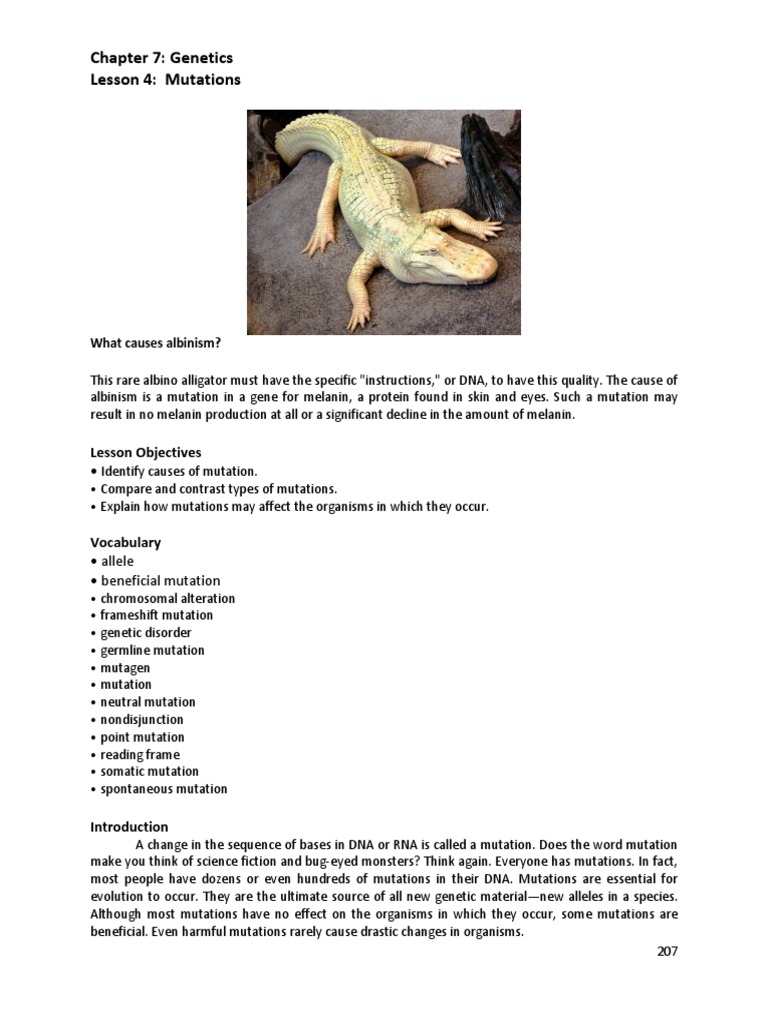 Chapter 7: Genetics Lesson 4: Mutations | PDF | Genetic Disorder | Mutation