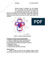 Cardiovascular Physiology Guide by Dr. Ahlam Kadhim