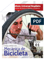 Curso de Mecânica de Bicicleta - Introdução à Profissão