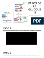 Pasos de La Glucolisis