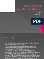 A 1.2 Cerebrum Dan Diencephalon