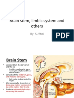 Brain Stem, Limbic System and Others: By: Sufitni